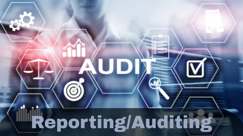 Reporting & Auditing
